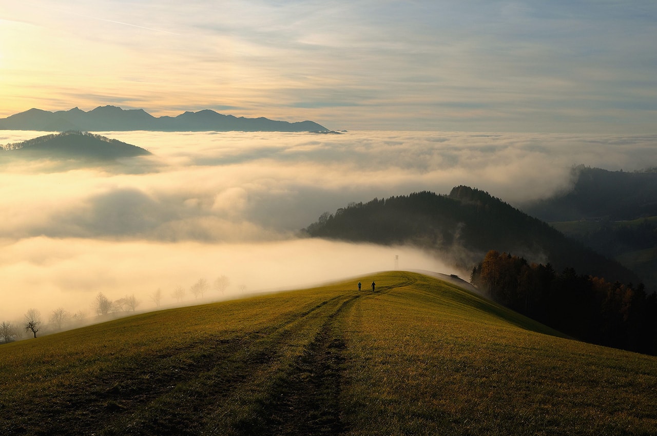Foggy Moutain