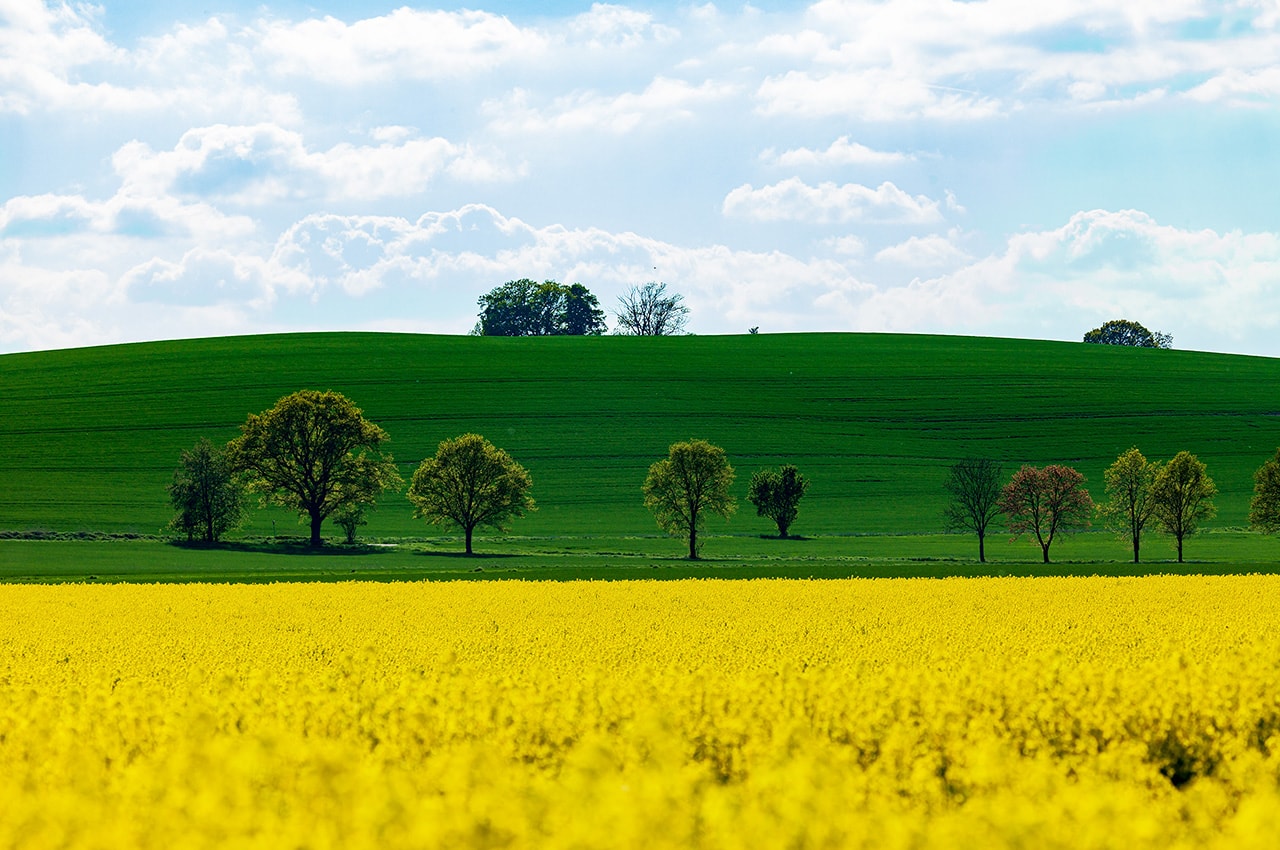 Rural Scenery