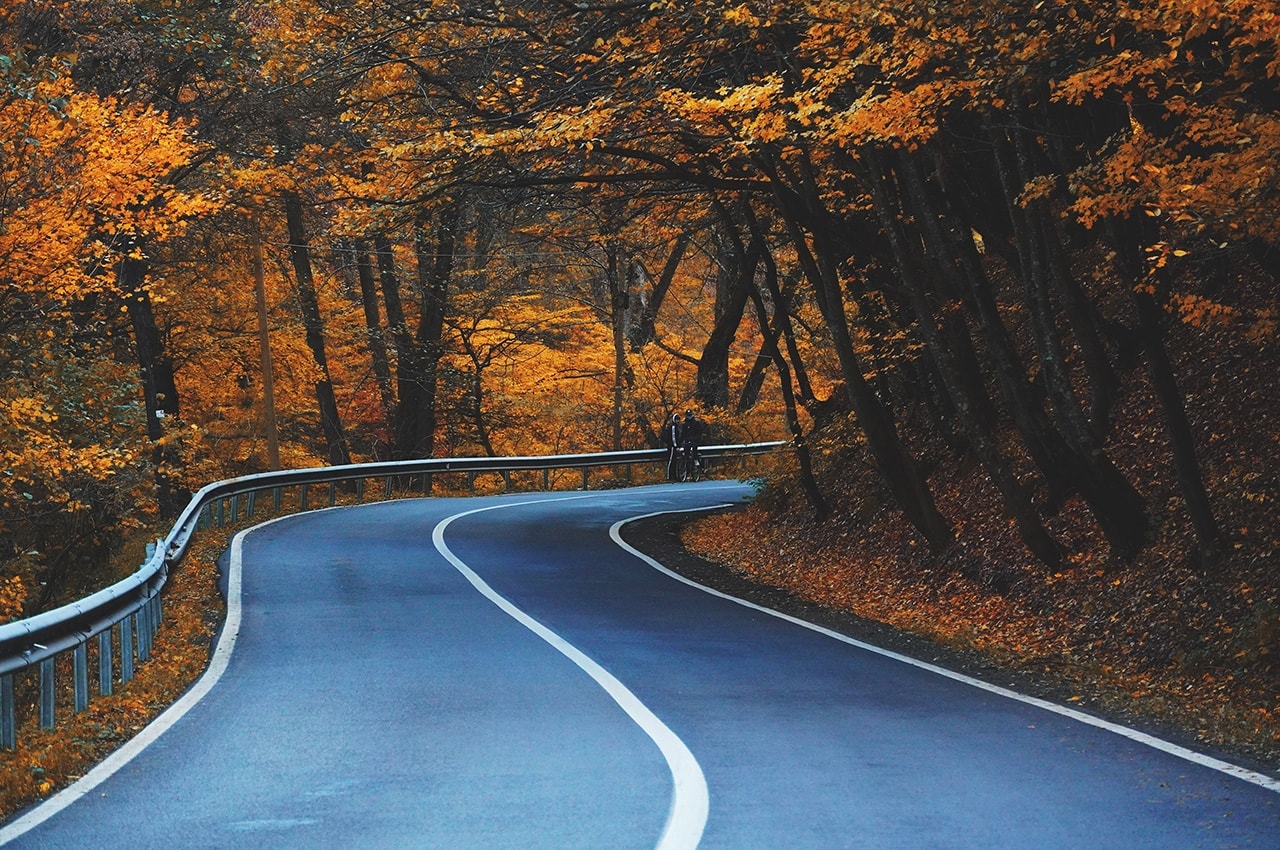 Autumn Forest Road