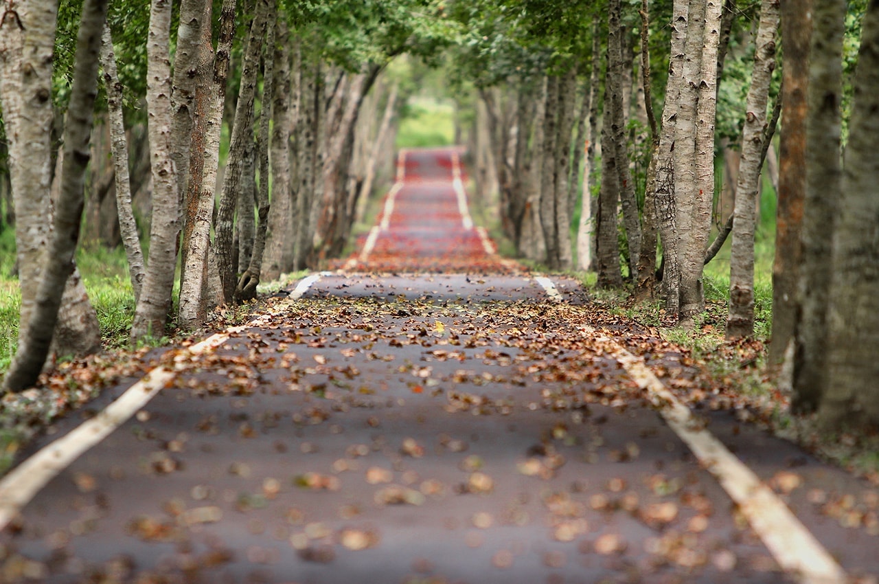 Avenue