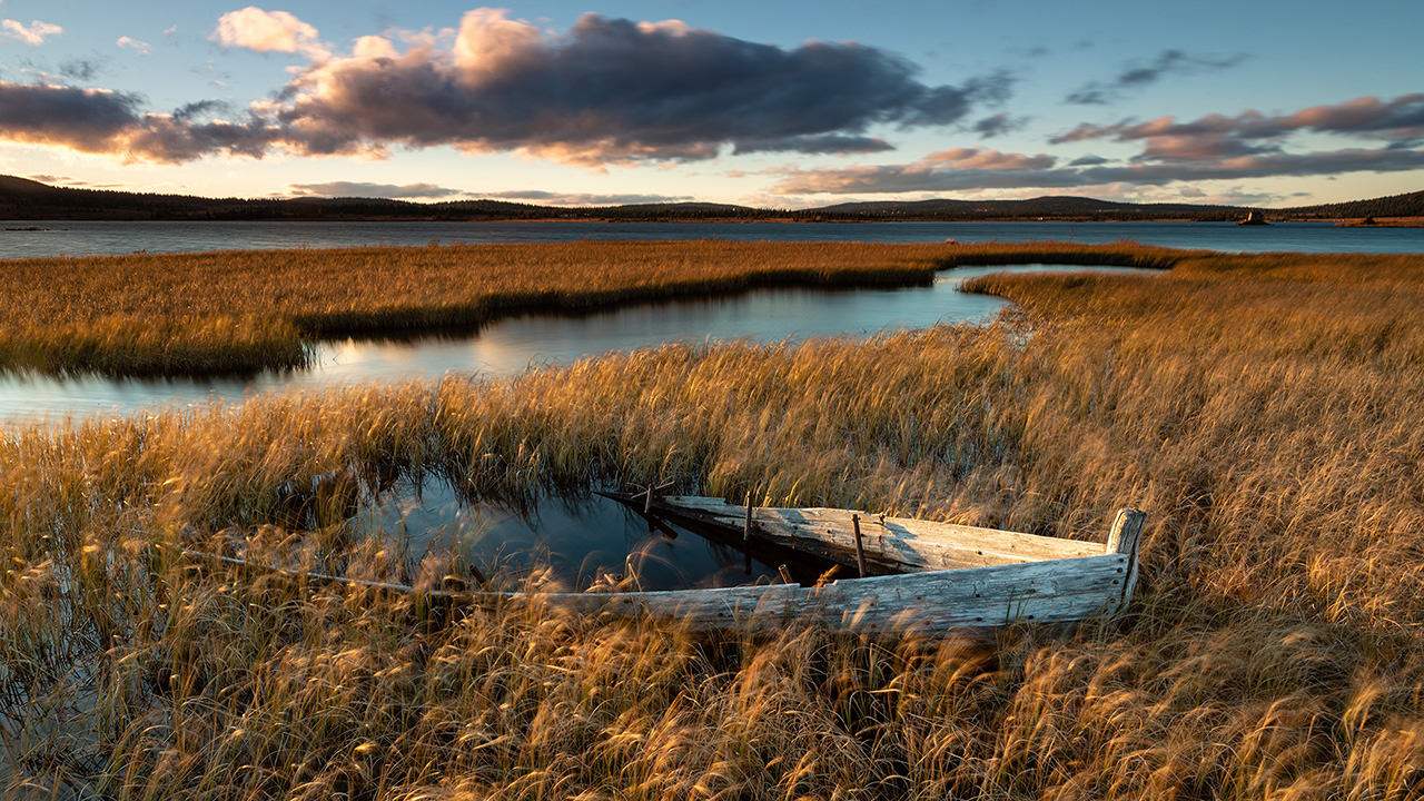 Sunken Boat