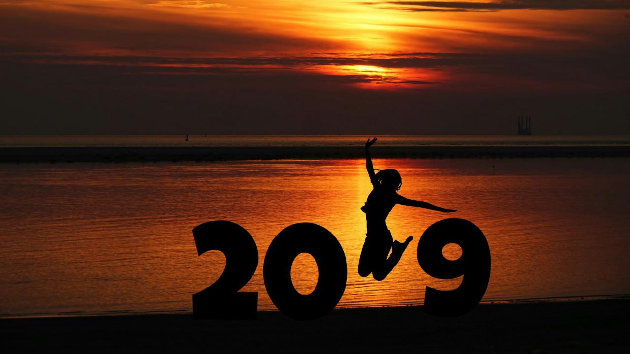 Happy New Year Silhouette 2019