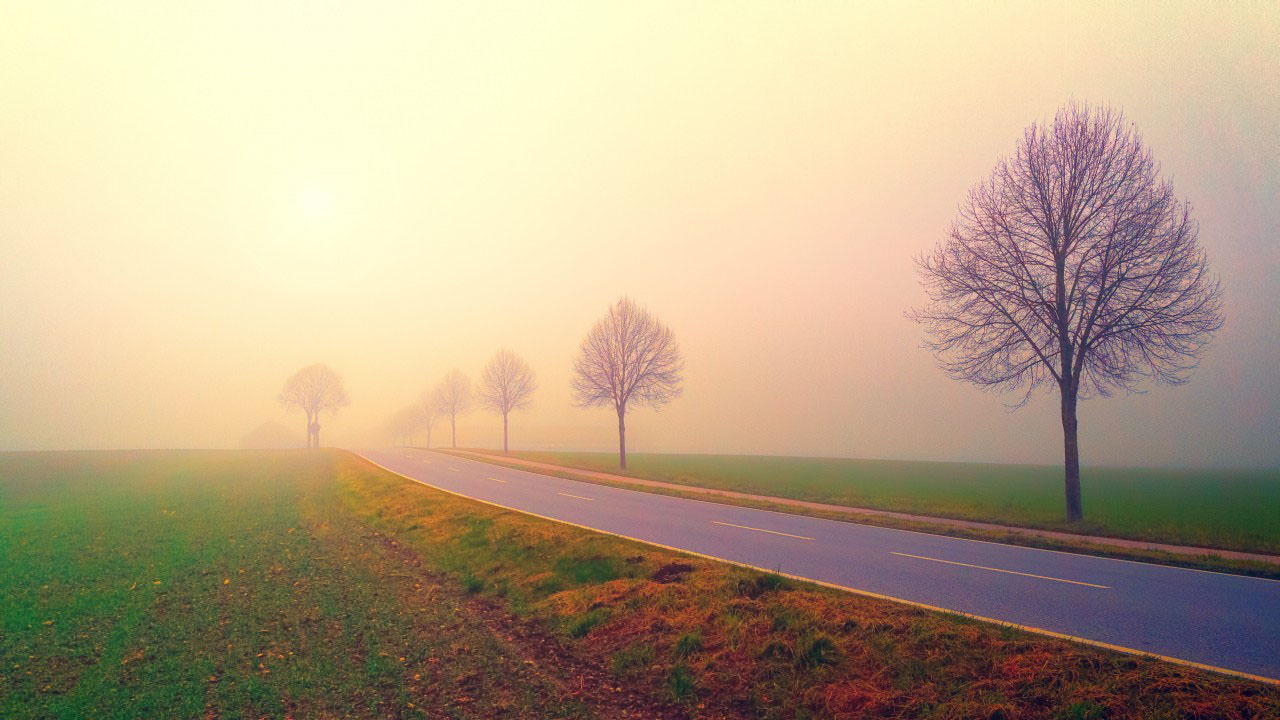 Morning Misty Landscape