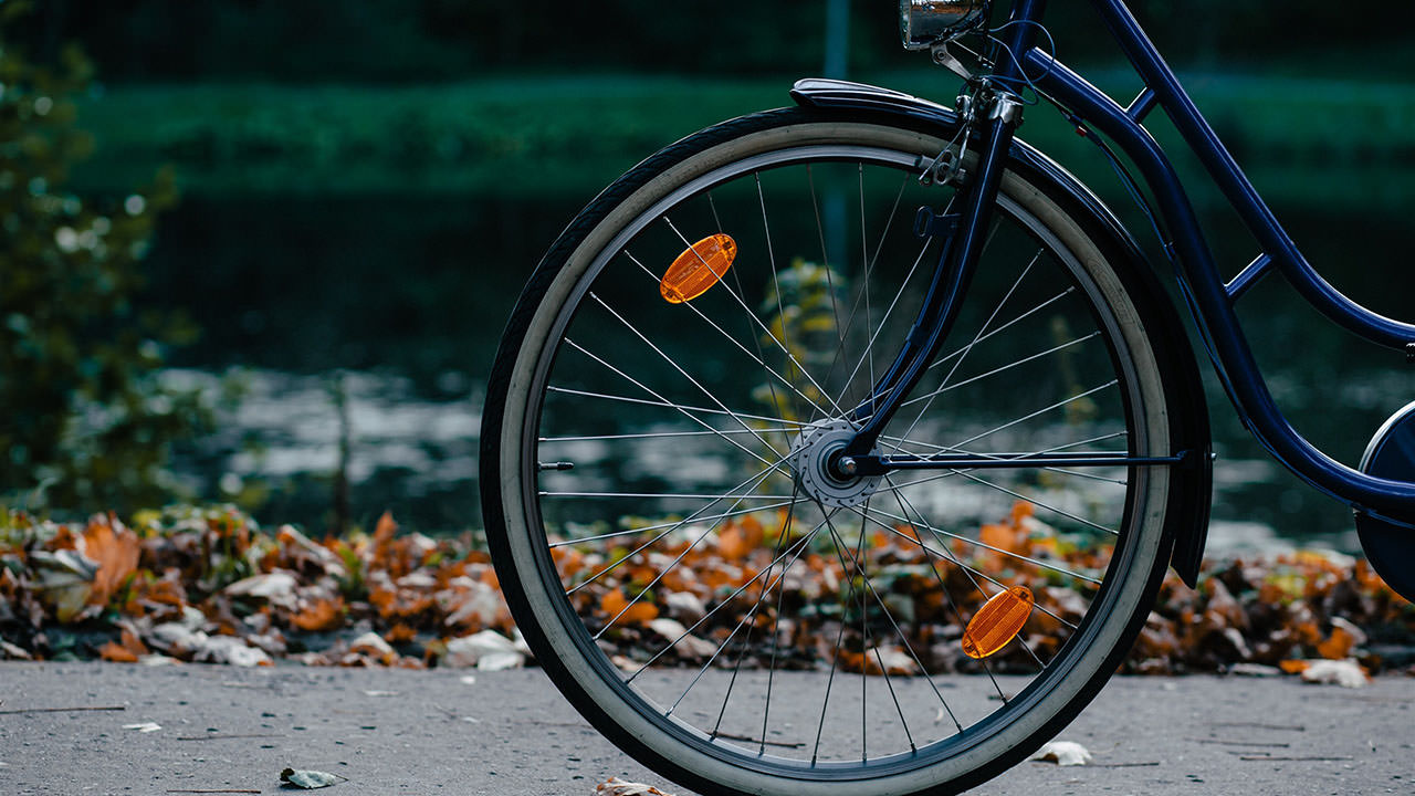 Bike Wheel in Autumn