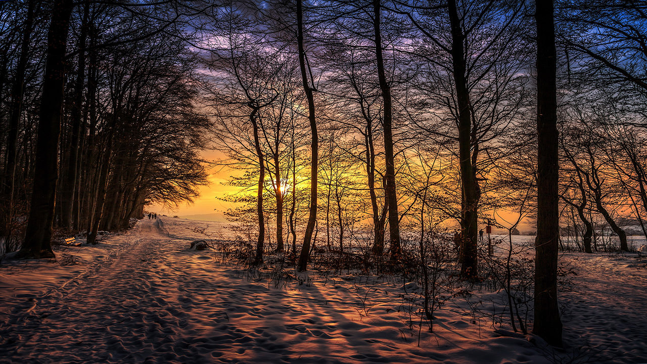 Winter Sunset in Nature