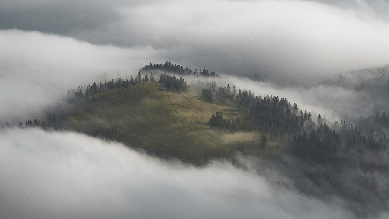 Foggy Carpathian Mountains