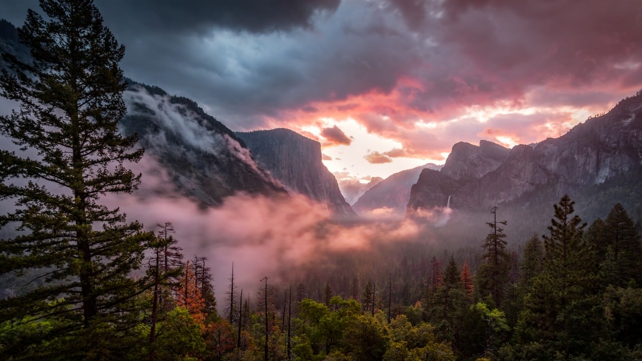 Yosemite Valley Morning Scenery