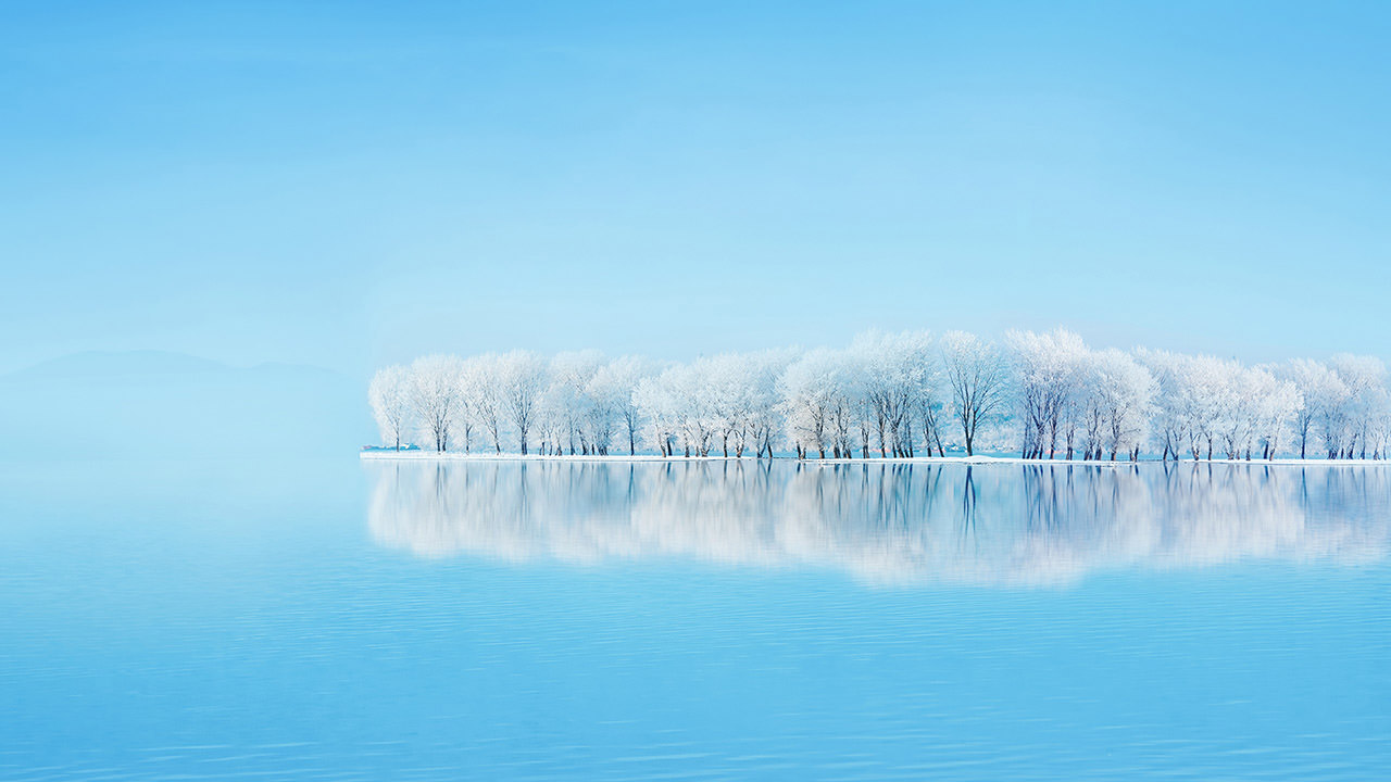Frosted Trees Reflections