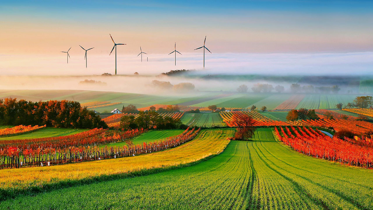 Windmills in the Autumn Field
