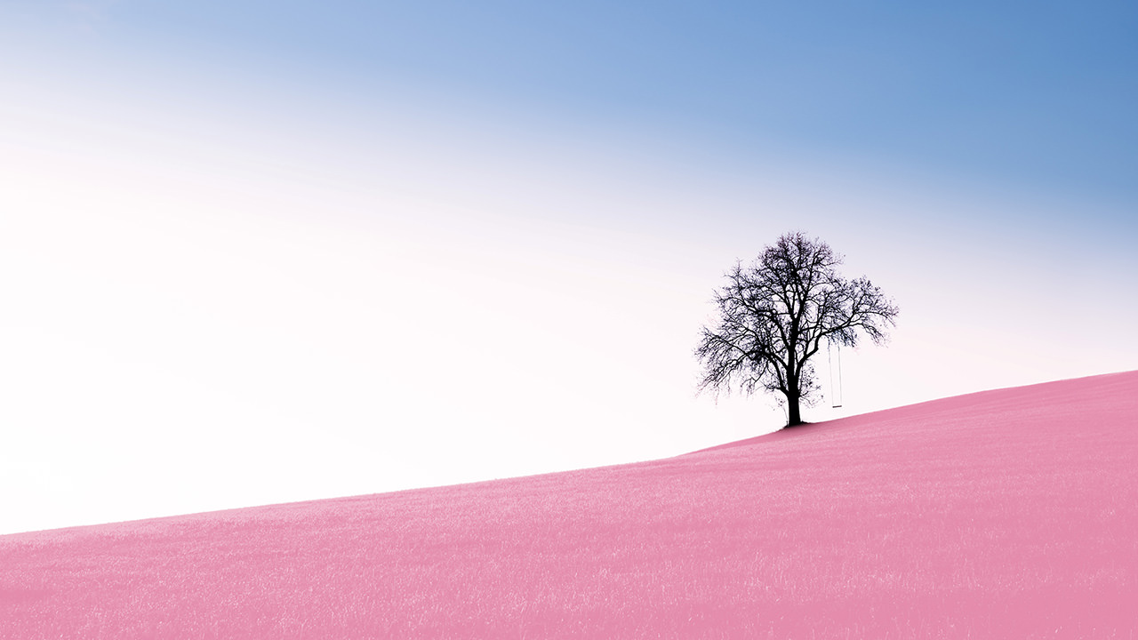 Pink Hillside