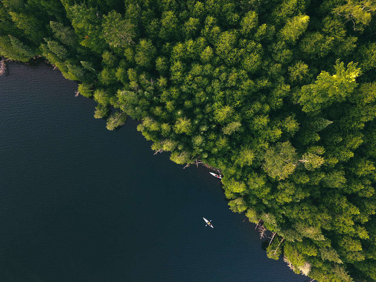 Lake Aerial View