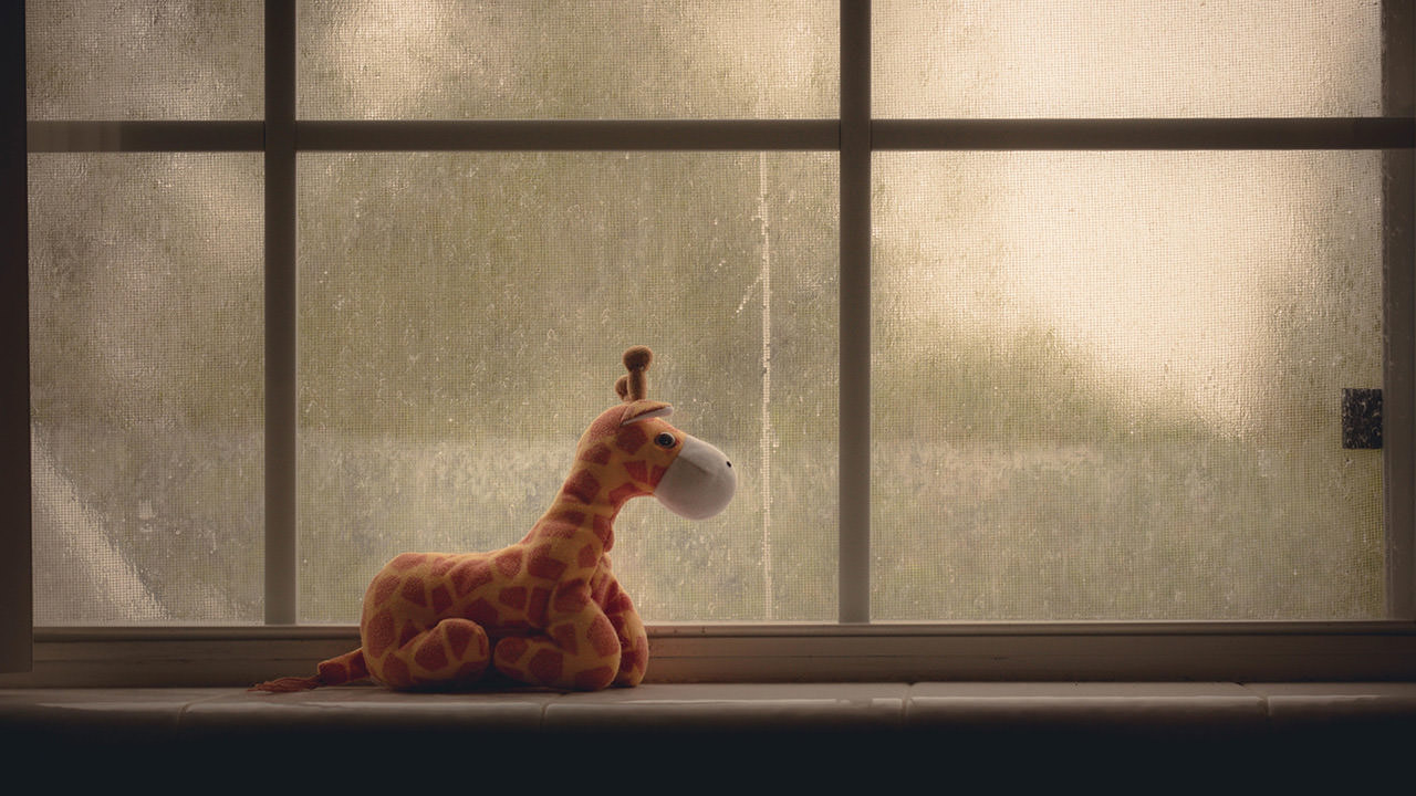 Window Giraffe Toy