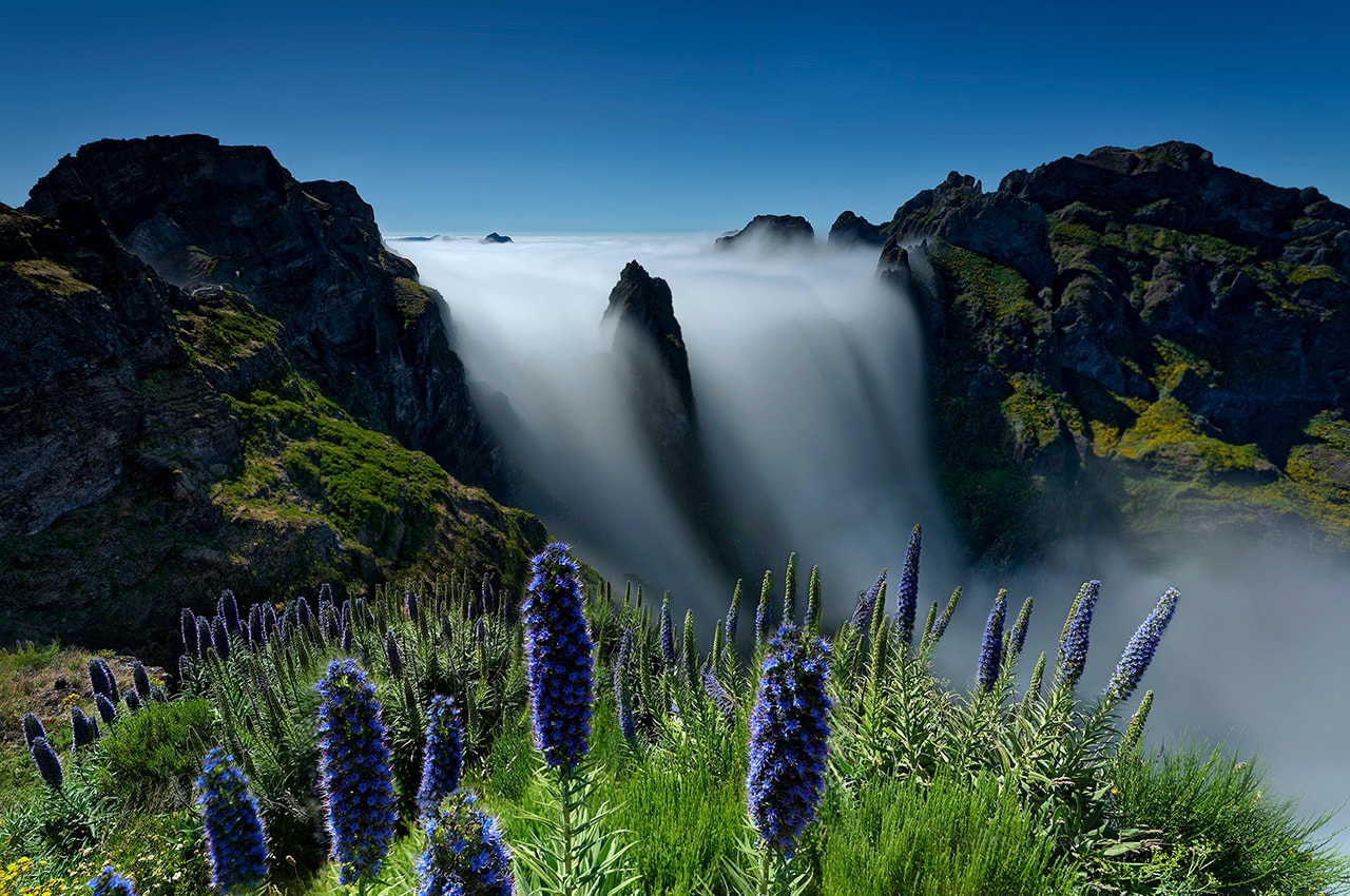 Island of Madeira Scenery