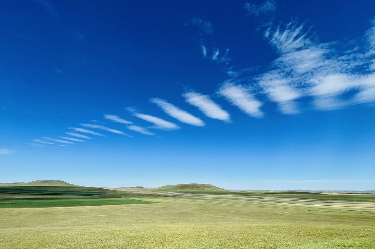 Mongolian-Manchurian grassland