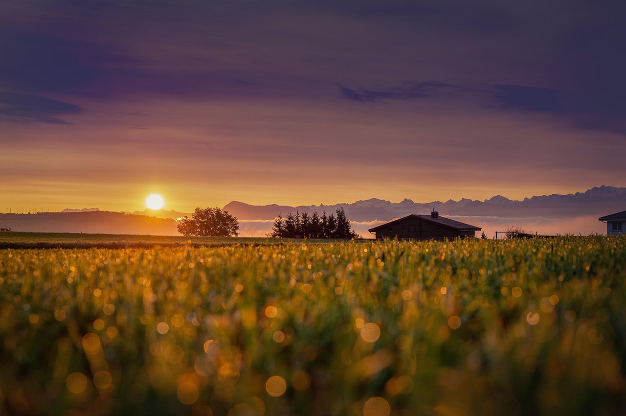 Sunrise Countryside