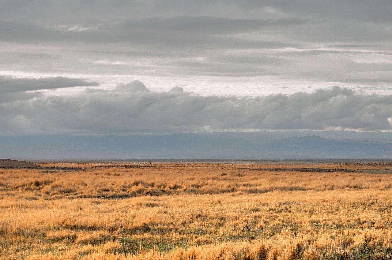 Qinghai Countryside Grassland
