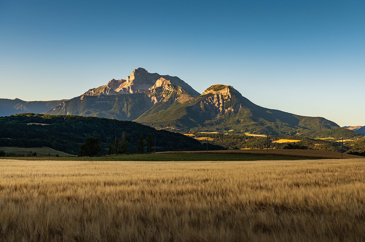 Autumn France Field