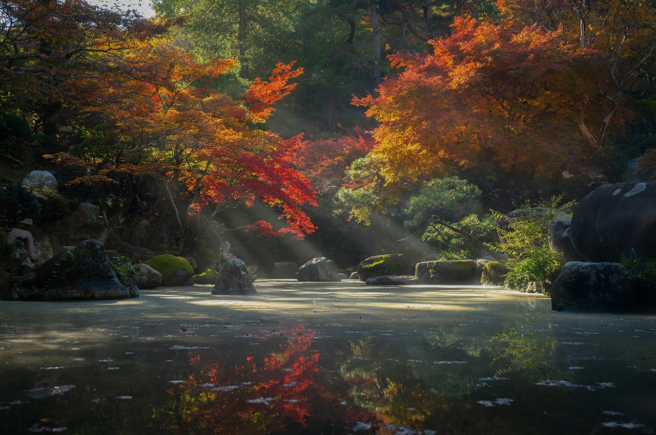 Autumn Japan Garden