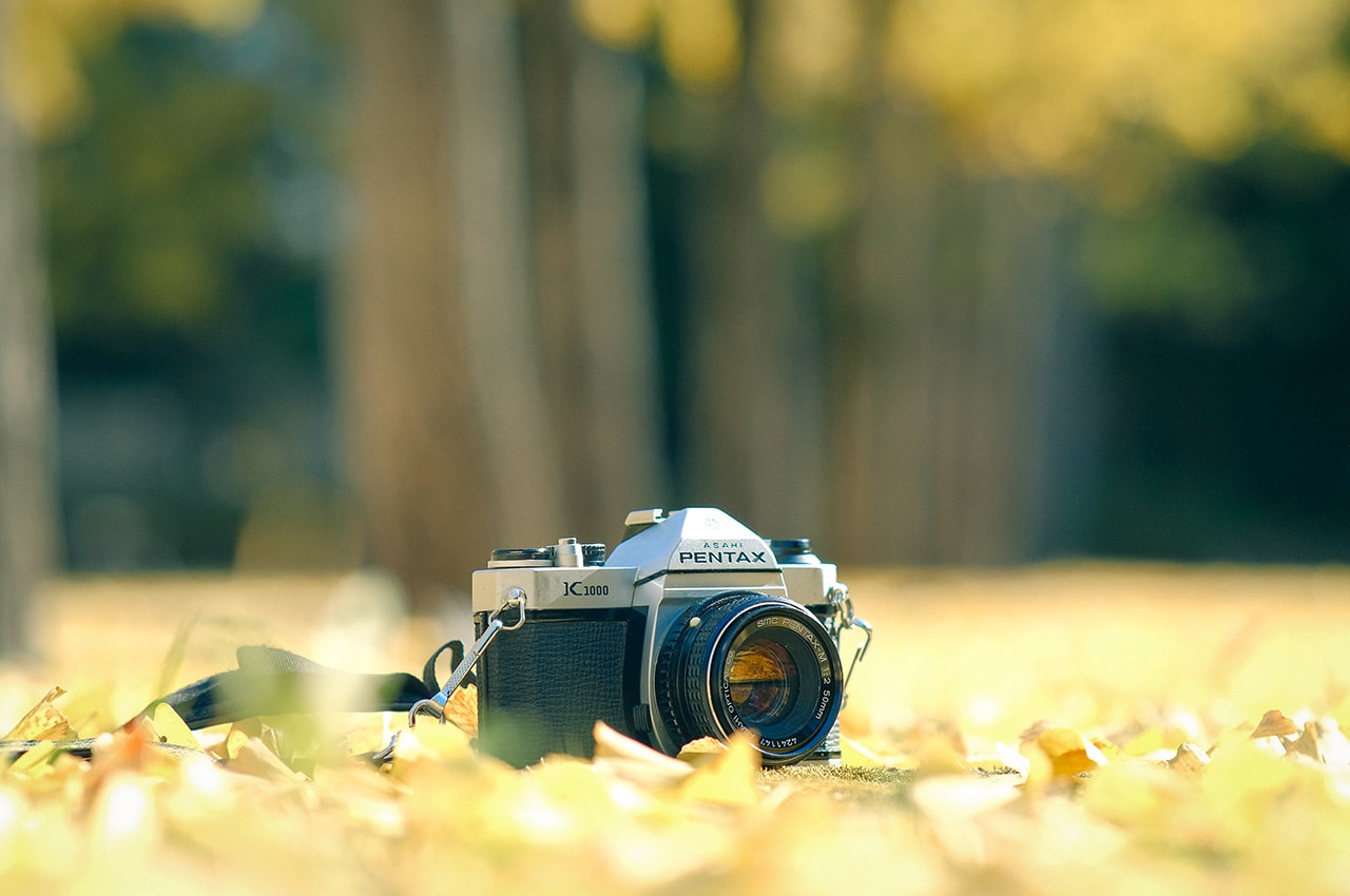 Autumn Pentax Film Camera