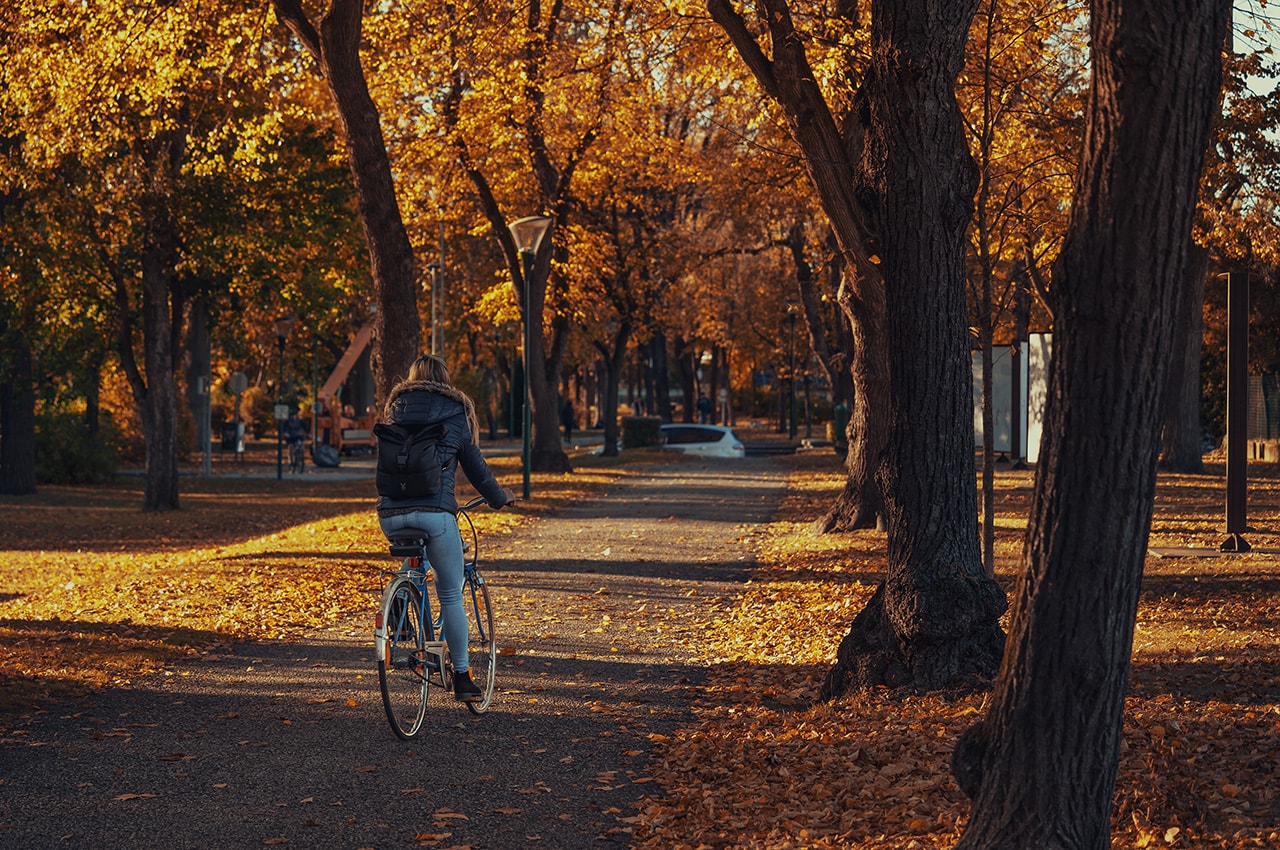Autumn Lane Woman Bicycle