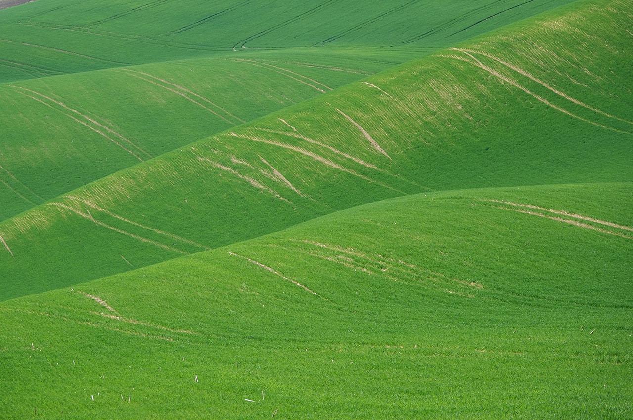Green Rolling Hills