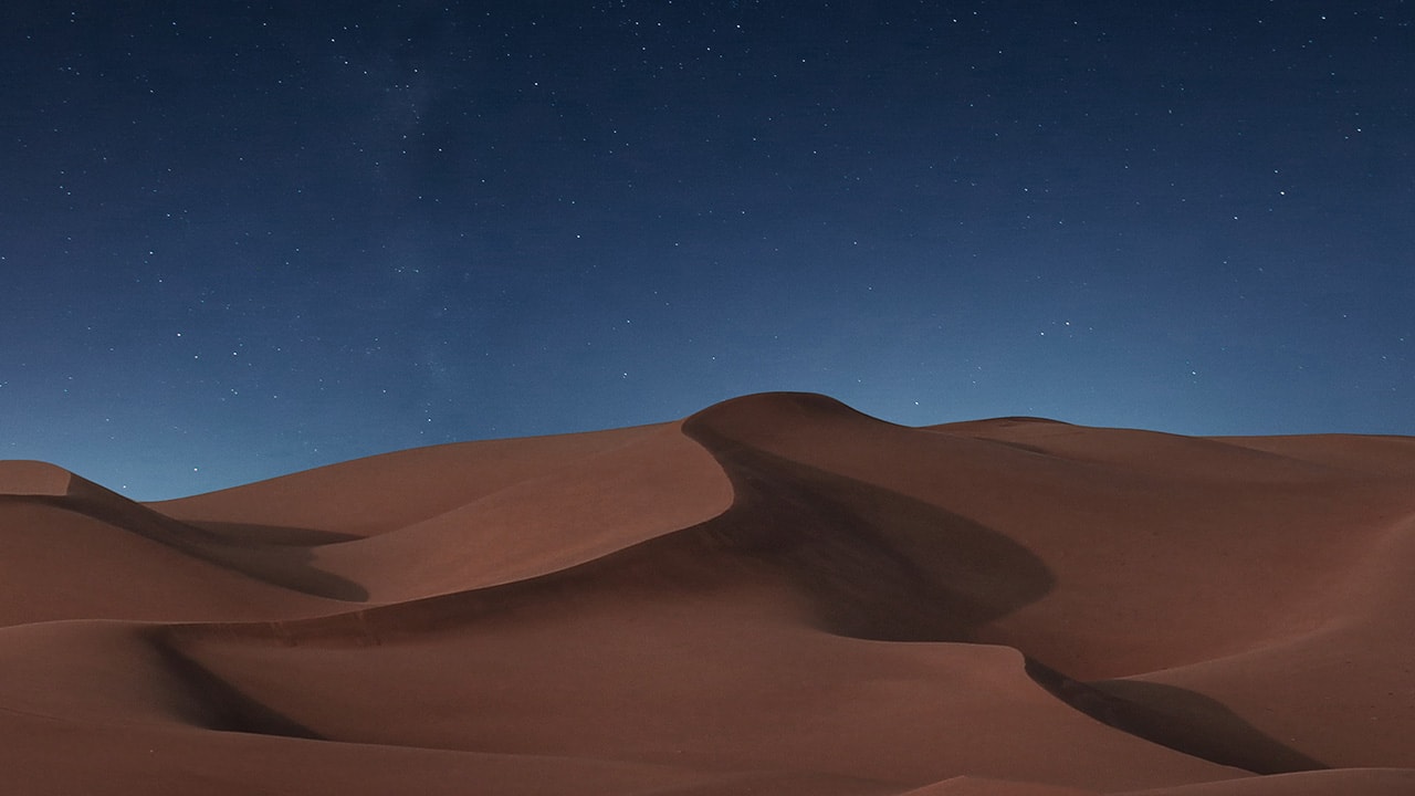 Night Desert