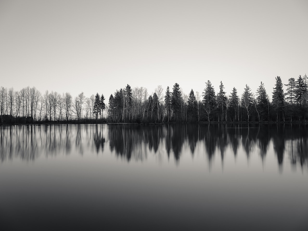 Lake Trees Reflection Monochrome
