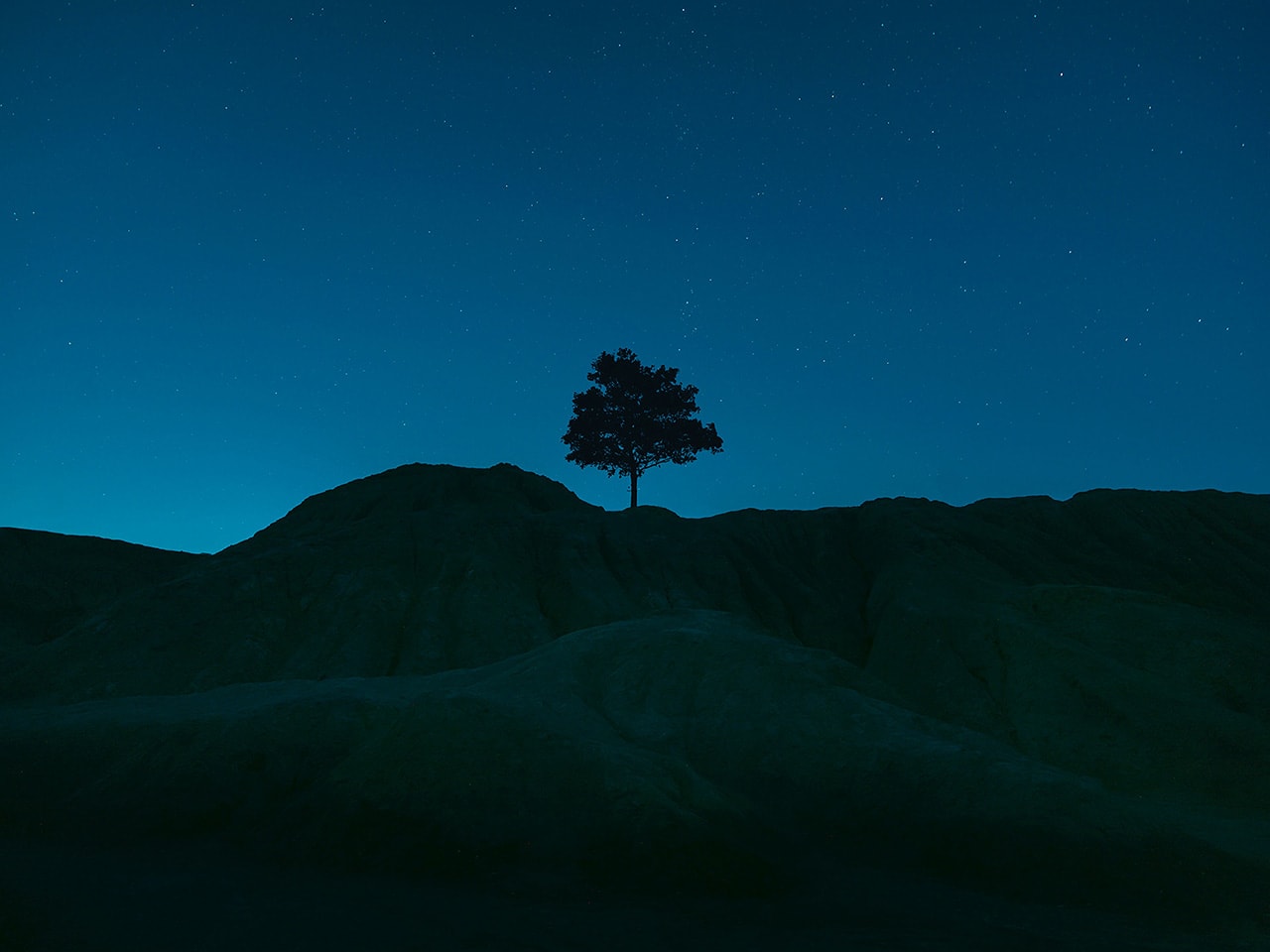 Night Lonely Tree