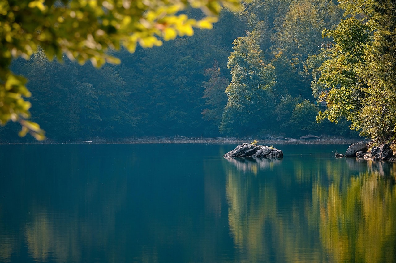 Autumn Lake Forest