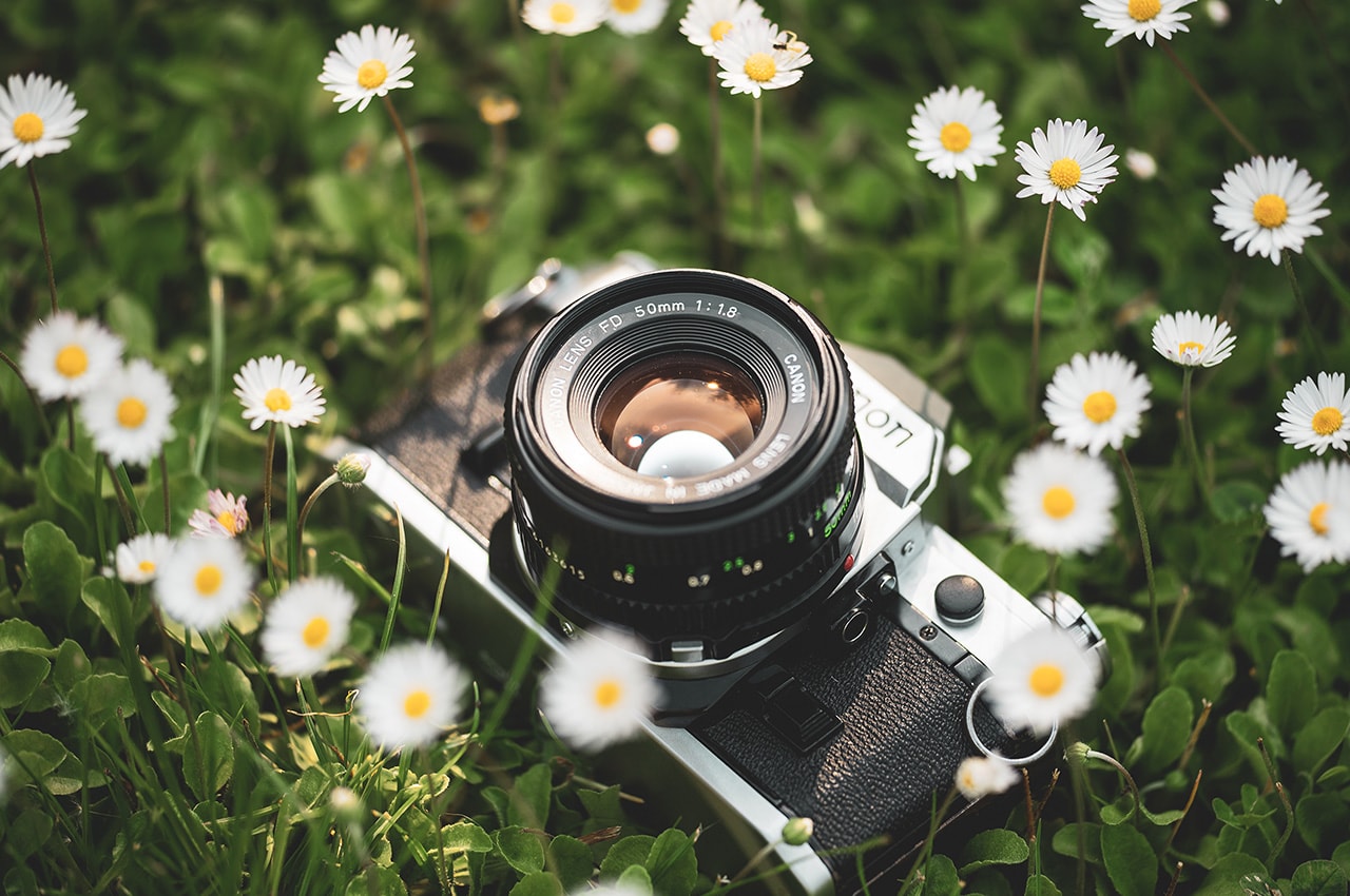 Canon Camera in Flowers