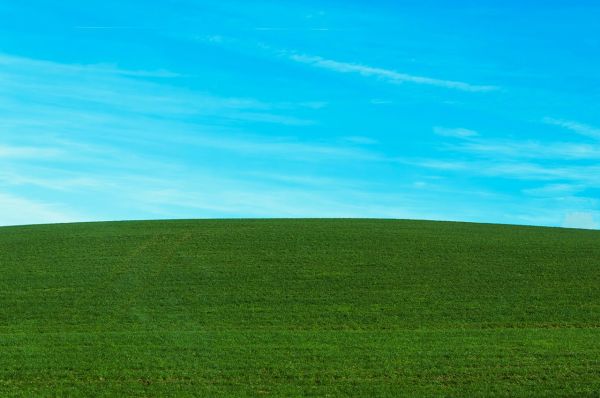 Azure Sky Grass Hill