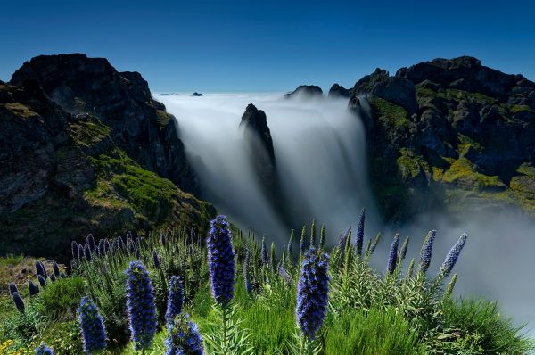 Island of Madeira Scenery