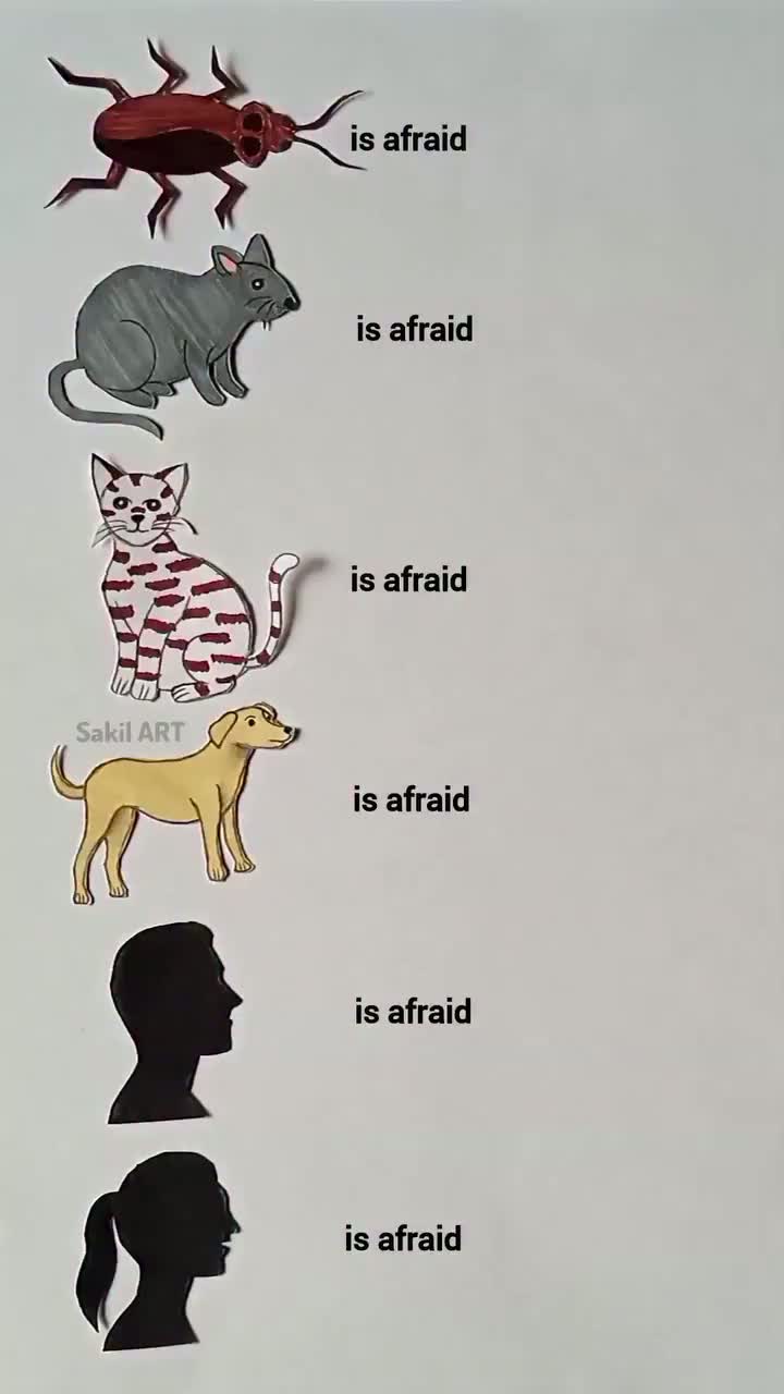 돌고 도는 세상