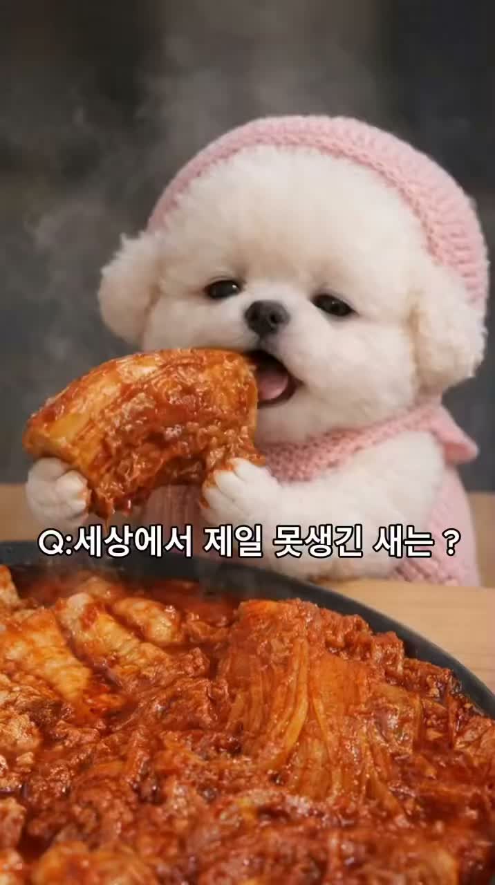 세상에서 제일 못생긴 새는?
