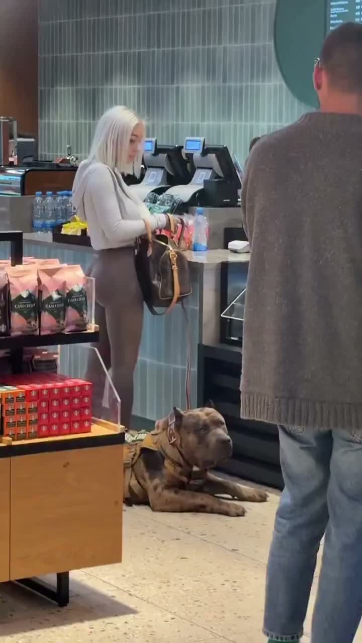 애견인으로 이러면 개민폐