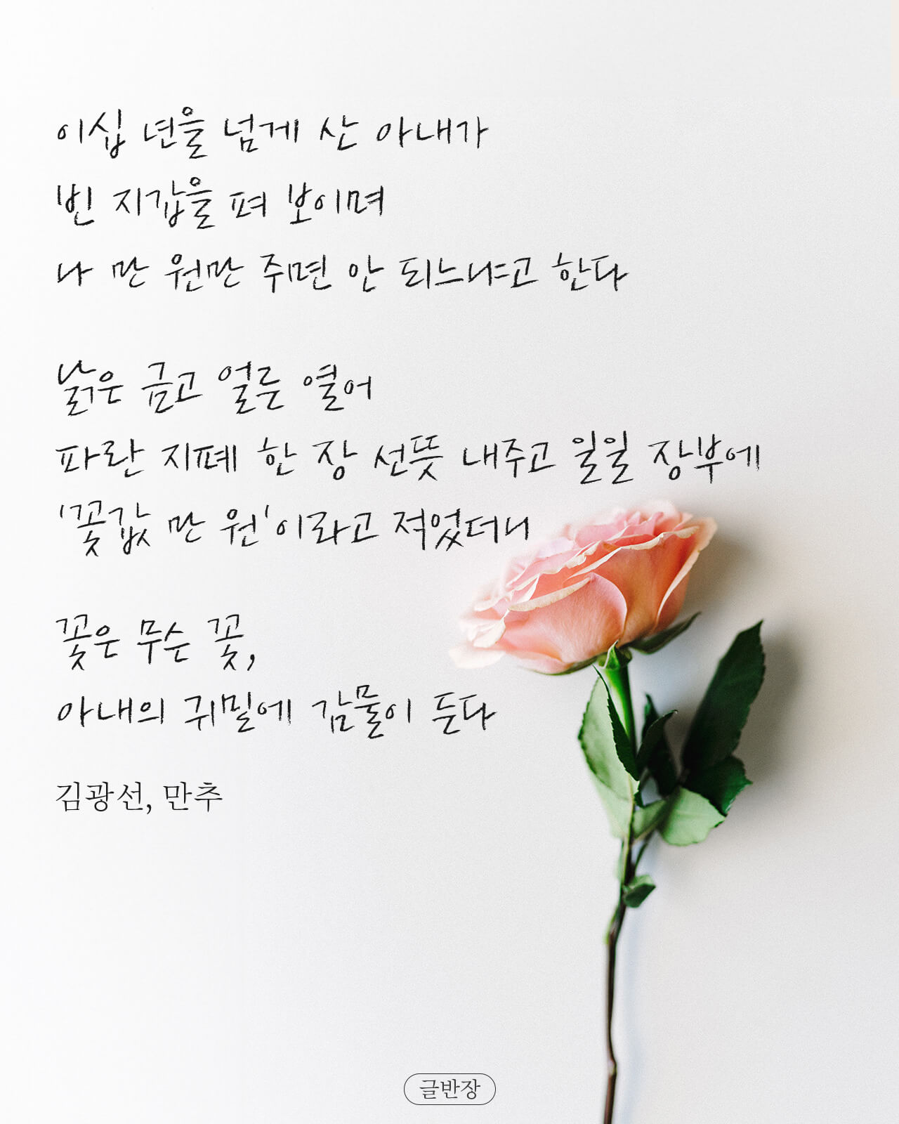 꽃값 만 원 - 김광선, 만추