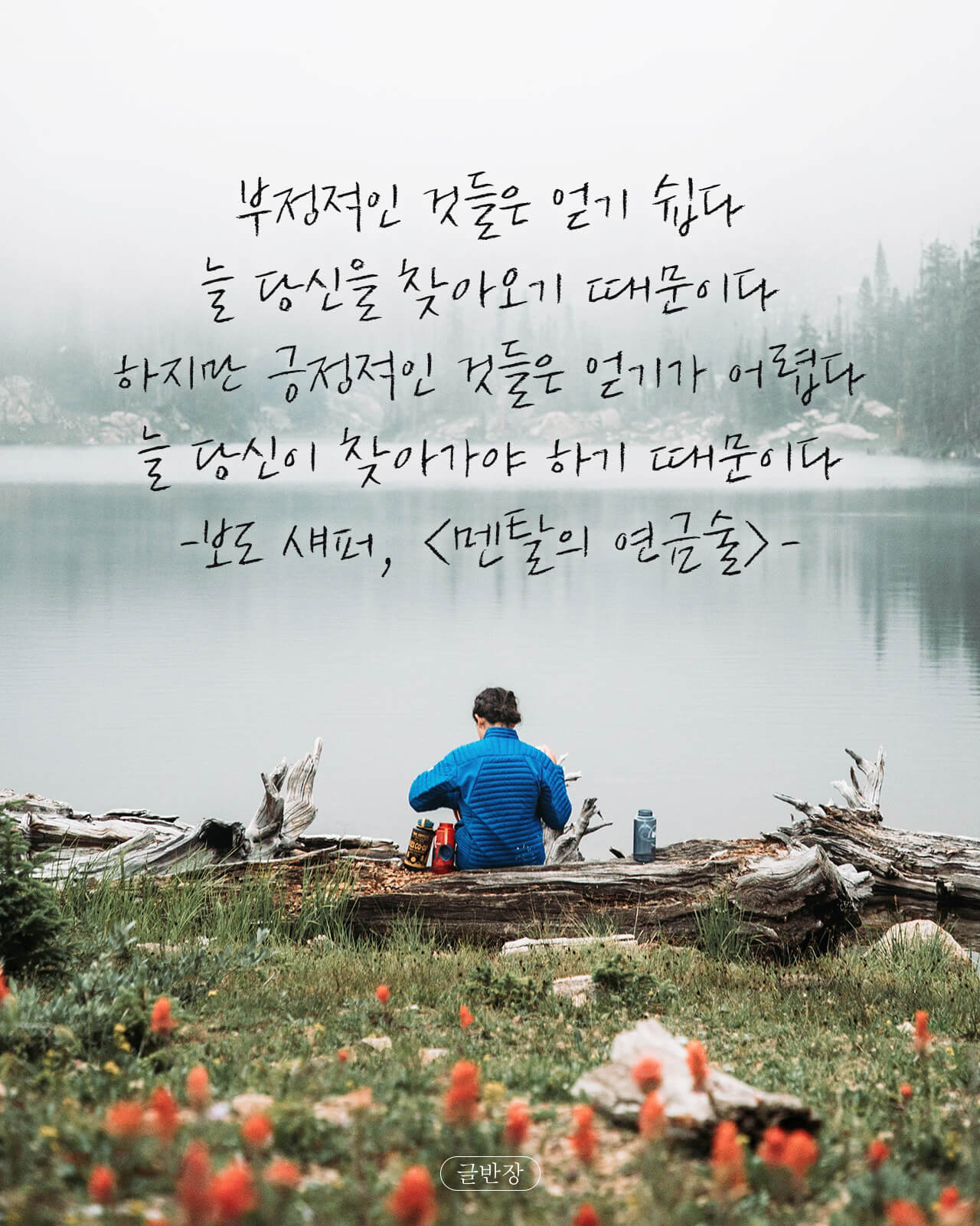 부정적인 것 VS 긍정적인 것 - 보도 섀퍼, <멘탈의 연금술>