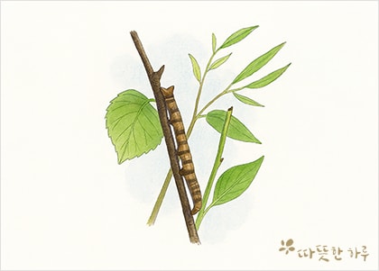 변화를 두려워하지 마십시오