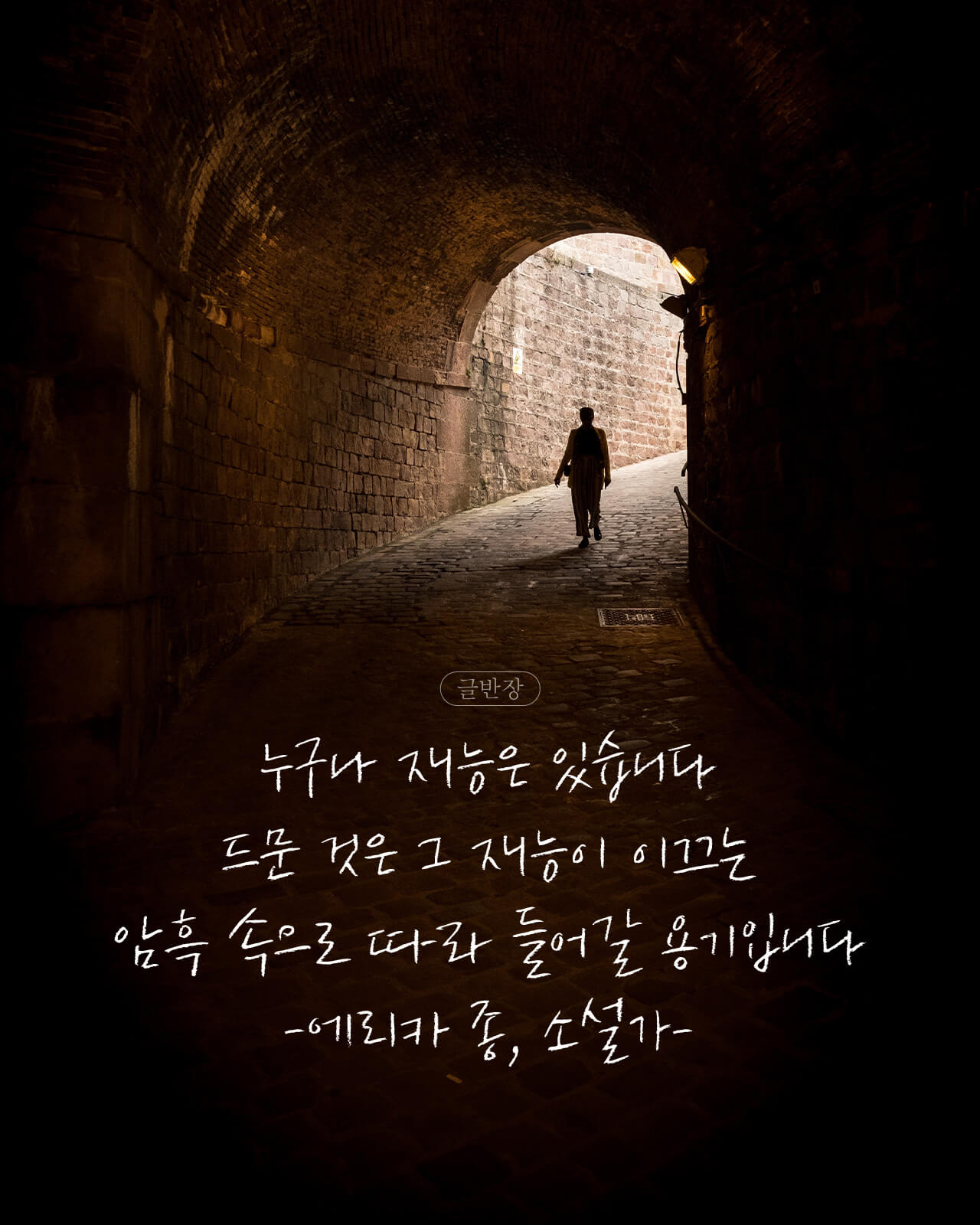 누구나 재능은 있습니다 - 에리카 종, 소설가