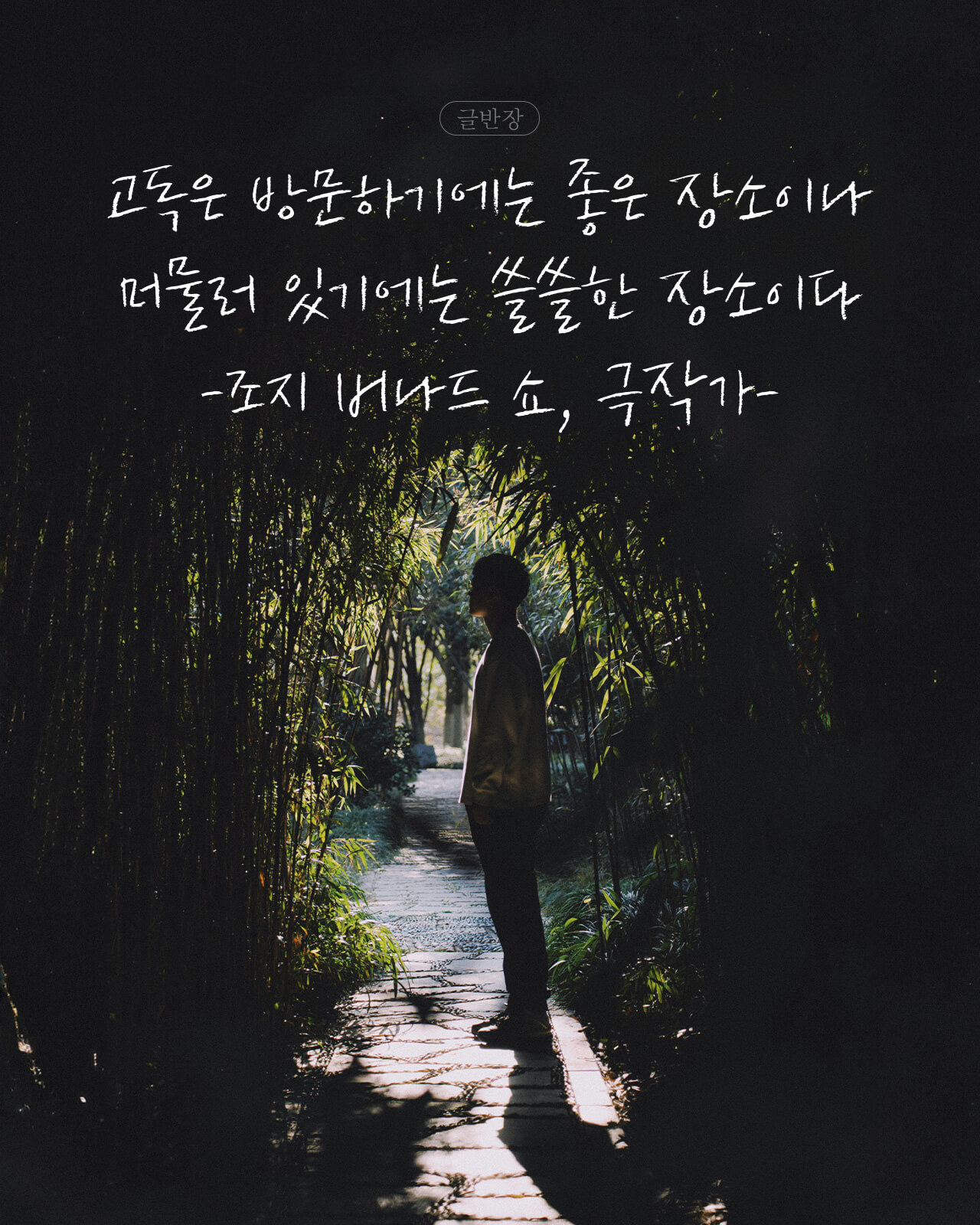 고독 - 조지 버나드 쇼, 극작가