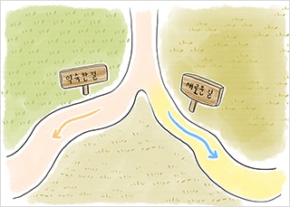어항 속 물고기