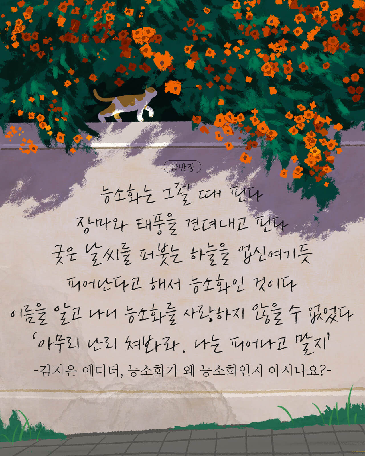능소화 - 김지은, 능소화가 왜 능소화인지 아시나요?