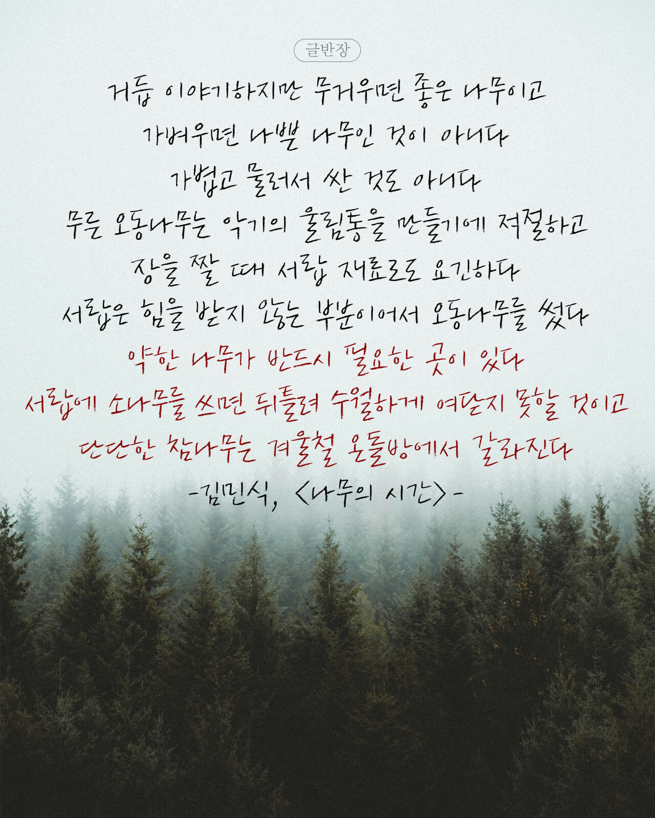 김민식, <나무의 시간>