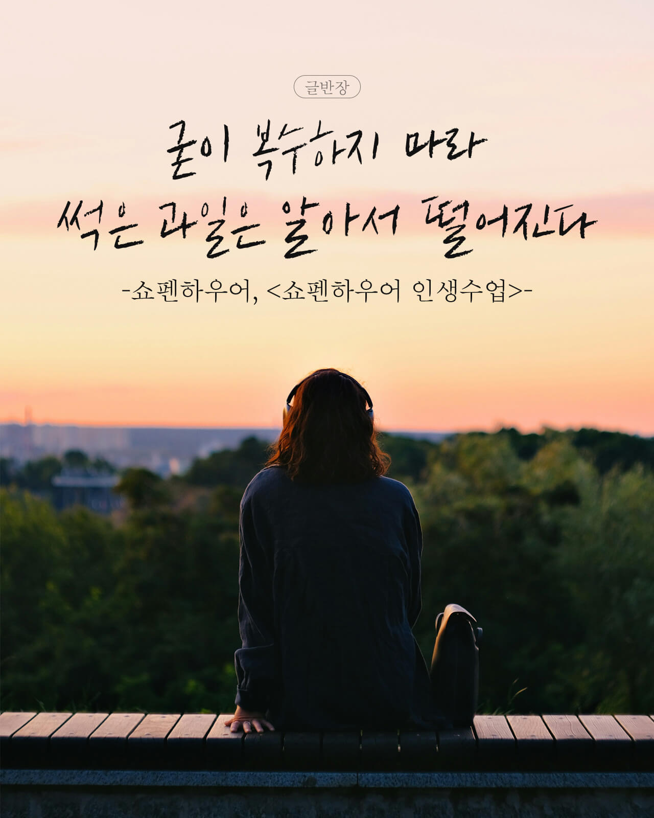 굳이 복수하지 마라 - 쇼펜하우어, <쇼펜하우어 인생수업>