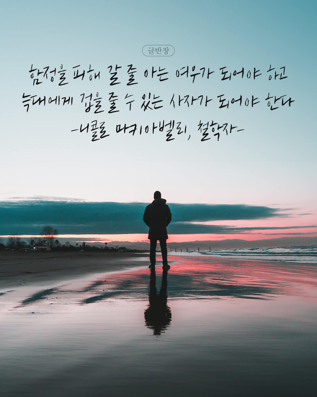 여우가 되고 사자가 되어야 한다 - 니콜로 마키아벨리, 철학자