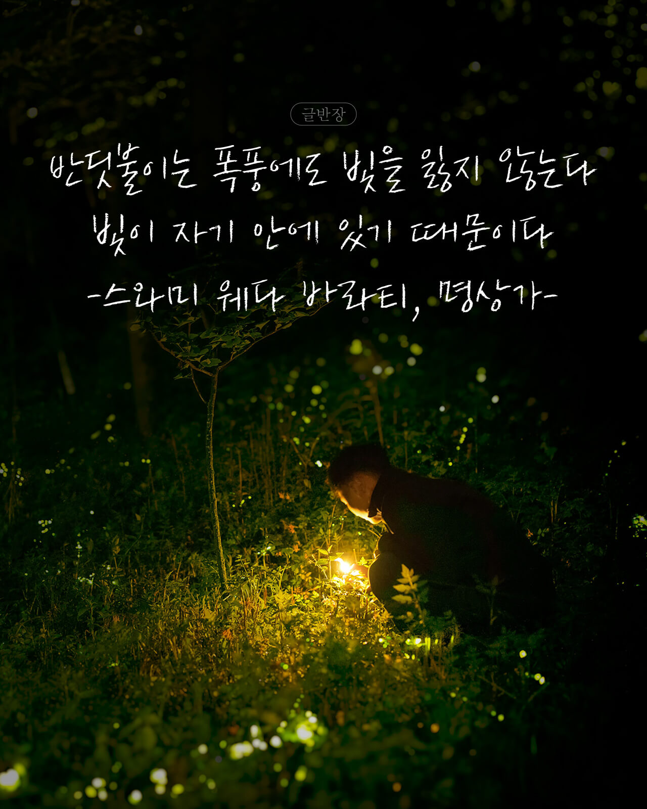 반딧불이는 폭풍에도 빛을 잃지 않는다 - 스와미 웨다 바라티, 명상가