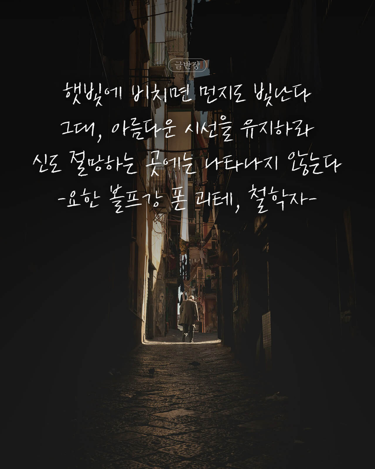 햇빛에 비치면 먼지도 빛난다