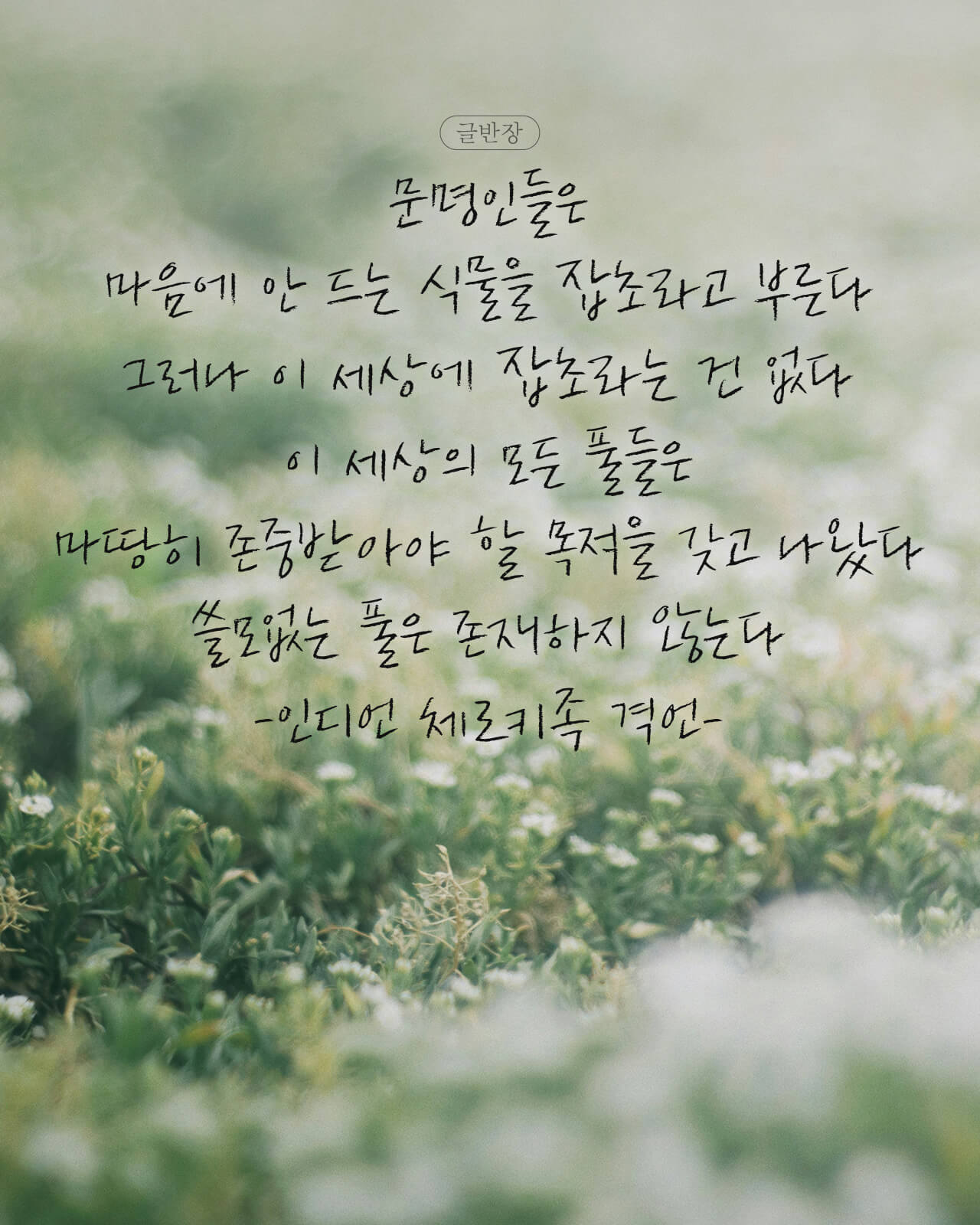 쓸모없는 풀은 존재하지 않는다