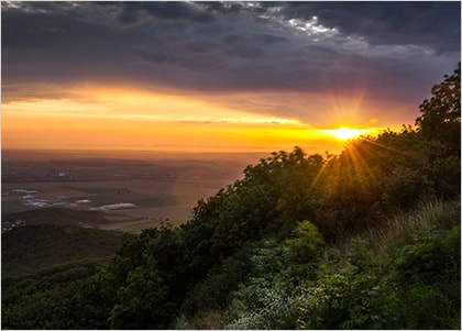 내가 살기로 한 이유?