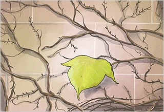 내가 살기로 한 이유?